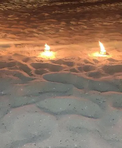 Searenity Apartament *